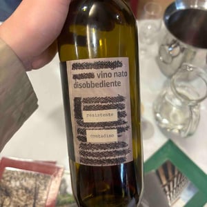 Vino Nato Disobbediente Resistente Contadino - Monte dall'Ora - alessandra-zantedeschi-carlo-venturini