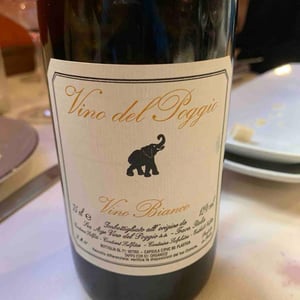 Vino Rosso - Vino del Poggio - andrea-cervini