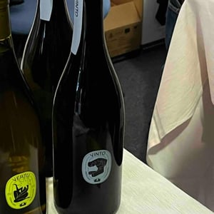 Vinto - Lusenti - lodovica-lusenti -2022