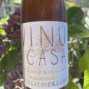 VINU i CASA bianco - Azienda Agricola Nasciri - domenico -2023