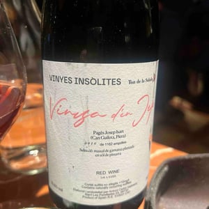 Vinya d'en Jep - Celler La Salada - toni-carbo -2023
