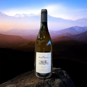 Viognier - La Petite Gallée - robert-patrice-thollet