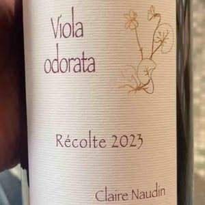 Viola Odorata - Domaine Henri Naudin-Ferrand - claire-naudin