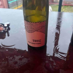 Virose - Léo Dirringer - leo-dirringer