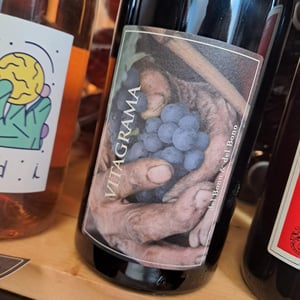 Vitagrama - Casa caterina - aurelio-emilio-del-bono -2009