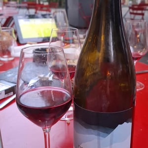 Volcane Rouge - Domaine Miolanne - jean-baptiste-deroche-laure-cartier