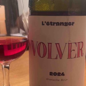 Volver - Domaine de L'Étranger - paulo-almeida-laura-rebeissi -2024