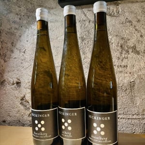 vom loss riesling - Weingut Seckinger - philipp-jonas-seckinger