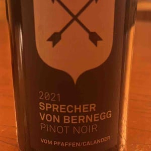 Vom pfaffen calander - Sprecher von berneg - jan-domenic-luzi -2021