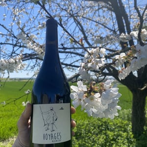 Voyages - BISCORNUS - nicolas-perrin -2022