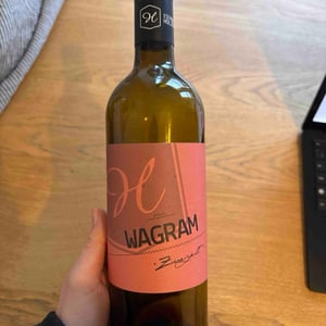 Wagram - Eschenhof Arnold Holzer - eschenhof-arnold-holzer -2022