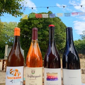 Weißburgunder Muschelkalk - Enderle & Moll - florian-moll-max-lecat -2020