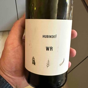 Welschriesling - Víno Hubinský - david-hubinsky-peter-hubinsky