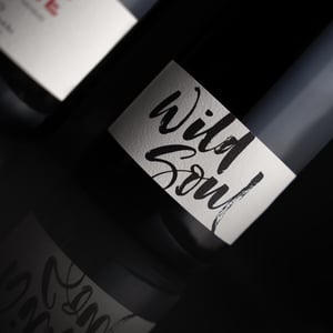 Wild Soul - Julien Sunier - julien-sunier