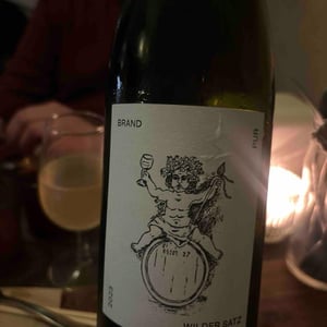 Wilder Satz - Brand Bros - Weingut Brand - daniel-jonas-brand