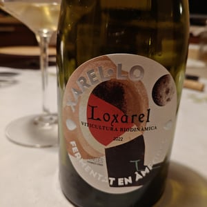 Xarel·lo d'àmfora - Loxarel - josep-mitjans