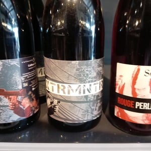 XTRMNTR - Collectif Anonyme (RETIRED) - collectif-anonyme-retired