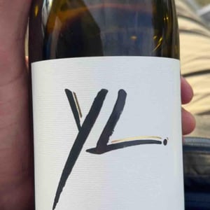 YL - Yves Leccia - yves-sandrine-leccia