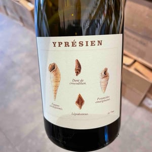 Ypresien - Champagne Legrand-Latour - Thibault Legrand