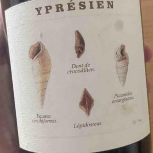 Ypresien - Champagne Legrand-Latour - thibault-legrand