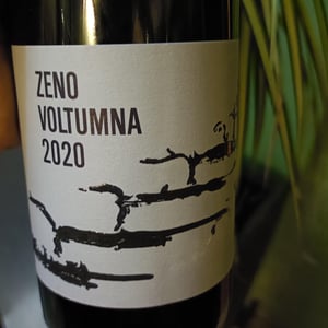 ZENO - Voltumna - marzio-politi