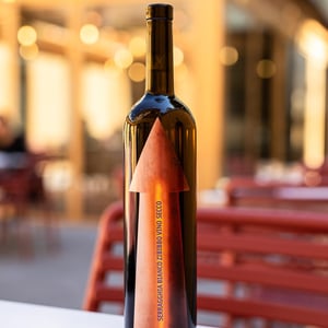 Zibibbo - Azienda Agricola Serragghia - gabrio-giotto-bini -2022