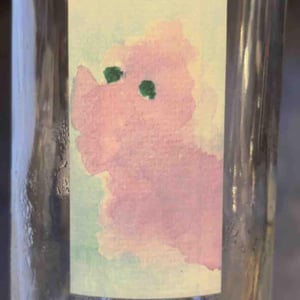 Zmeurica - Bédarieux - Miha Trifa & Tom Gautier