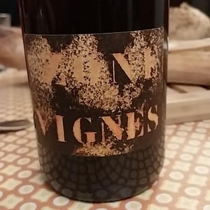 ZONE VIGNE - Domaine Des Trouillères - camille-mikael-hyvert -2022