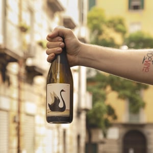 Zorba - Società Agricola Marta Valpiani - elisa-mazzavillani -2020