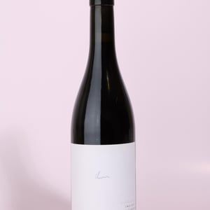 Zweigelt Kieselstein - Weingut Claus Preisinger - claus-preisinger