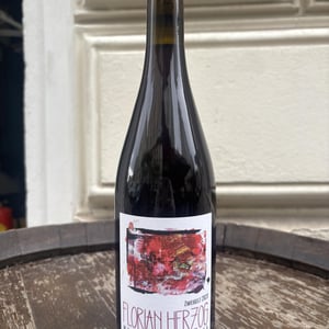 Zweigelt - Weingut Florian Herzog - florian-herzog
