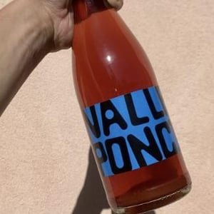 Asino al Mare - Valleponci - valentin-hehl-gianluca-demarchi-pietro-valente