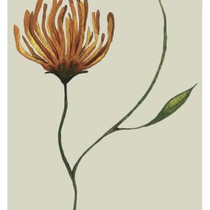 Ette Second Edition - Azienda Agricola Summer Wolff - summer-wolff-9w