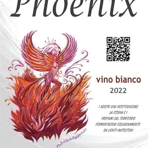Phoenix - Il Vino e le Rose - massimiliano-murgo