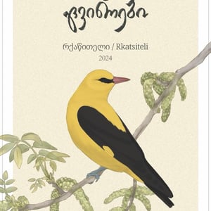 Rkatsiteli - Golden Oriole Wines - Ugly Fellas Wine - giorgi-rajebashvili-alexander-adamia-irakli-evdoshvili