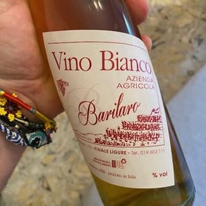 Vino Bianco - Barilaro Ida - manuela-vittorio-gattero