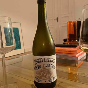 20.000 Leguas - Dominoi De Punctum - dominoi-de-punctum