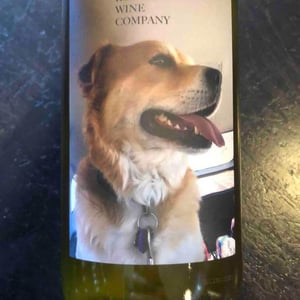 2018 Verdelho - Santa Rosa, CA - koehnen-wine-co