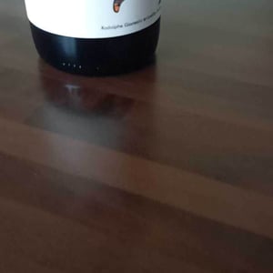 Premier Jus - Fond Cyprès - Rodolphe Gianesini & Laetitia Ourliac 