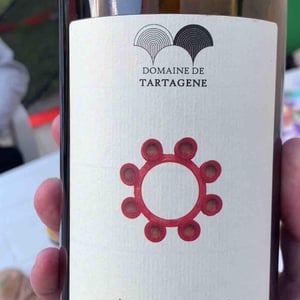 Amorce - Domaine de Tartagene - remi-estella-samouille -2022
