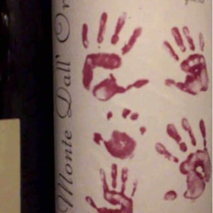 Valpolicella Classico Saseti