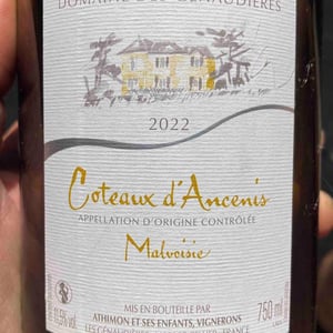 Coteaux D’ancenis - Domaine Des Génaudière - malvoisie -2022