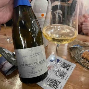 Crémant de Loire - Val de Loire - jacques-antoine-toublanc