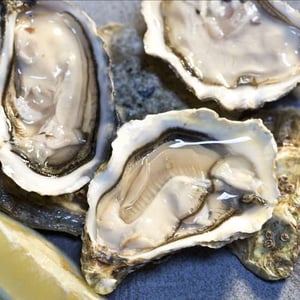 Ostriche - Culina Restaurant - 595318