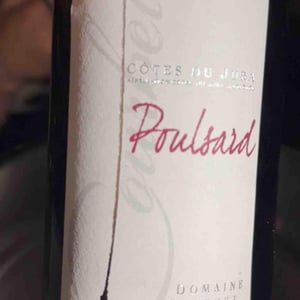 Poulsard - Croix & Courbet - David Croix & Damien Courbet -2022