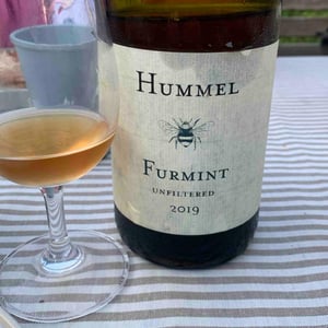 Furmint - Hungary - lindenblattriger -2019
