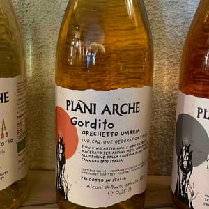 Gordito - Plani Arche - plani-arche -2021