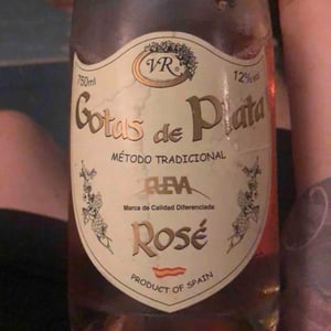 Gotas de Plata - Spain - vinedos-y-reservas