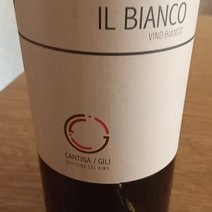 Il bianco - Agricola Gilì - luca-gili