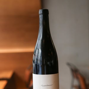 jil nestarec - Milan Nestarec - milan-nestarec -2019